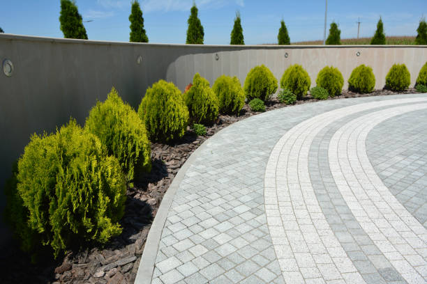 Best Custom Driveway Pavers  in Pagould, AR